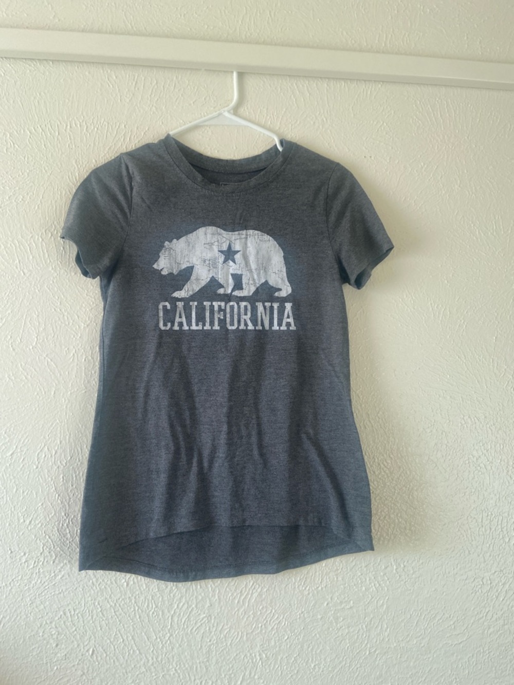 California Bear Graphic Tee - Gray